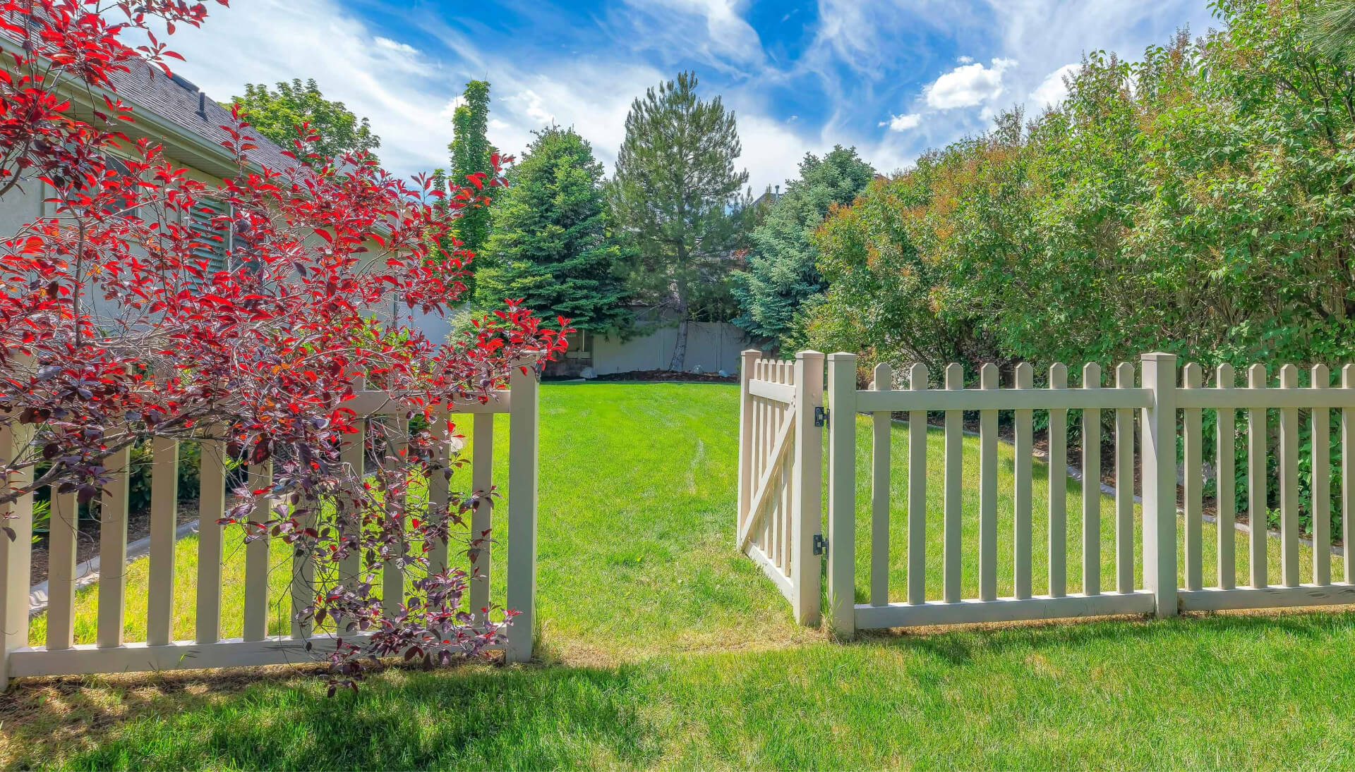 A functional fence gate providing access to a well-maintained backyard, surrounded by a wooden fence in Fairfield